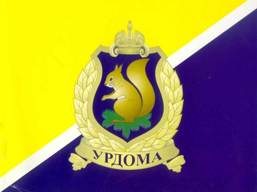 Флаг Урдомы 2001-2002 г.